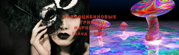 спайс Баксан