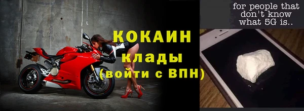 стаф Ростов